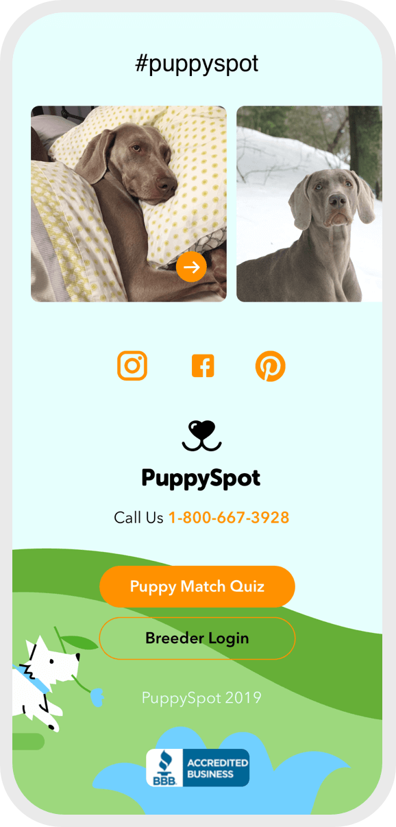 Hashtag puppy