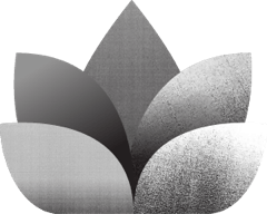 MassageIcon